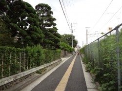 まっすぐ