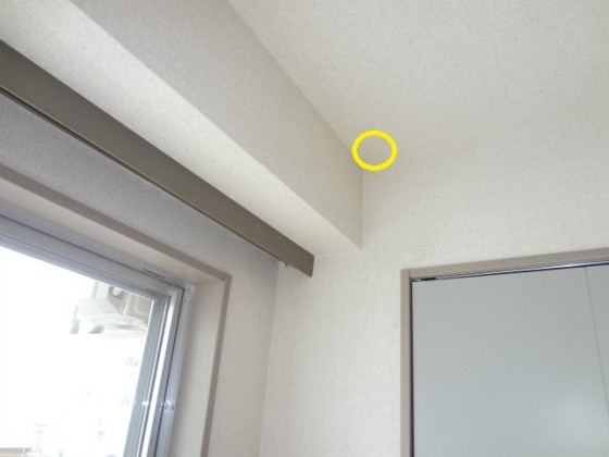 DSC03286 - コピー