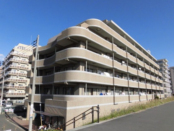 外観 外観