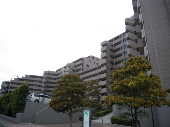 外観 外観